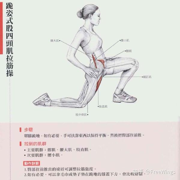 下交叉综合征解析与矫正