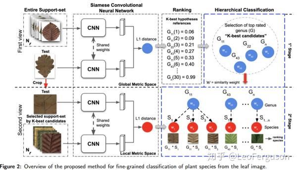 receptive mind,mindmapping title:associating multi-scale receptive fields for fine-grained