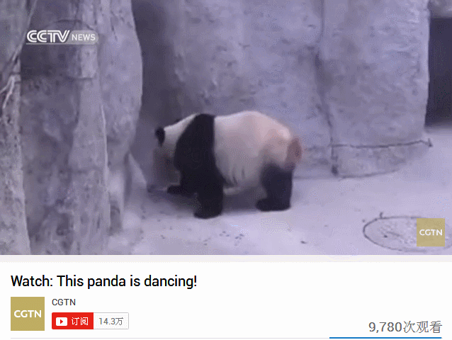 壁纸 动物 狗 狗狗 600_451 gif 动态图 动图