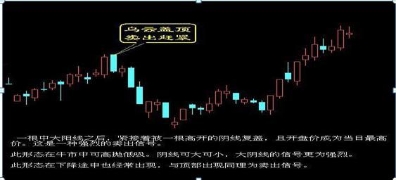 股市真正发财的一种人:三阳不吃一阴跌,三阴不吃一阳涨,句句精华