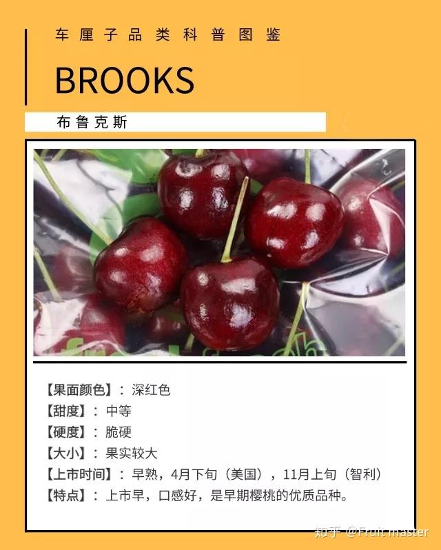 12种常见进口车厘子品种大全带你车厘子自由