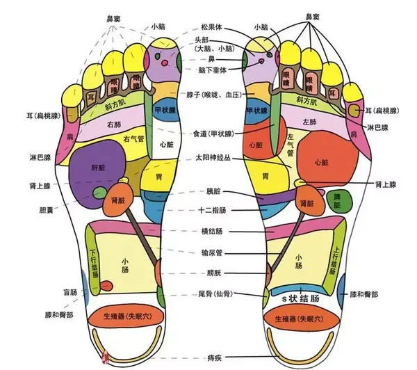 地筋硬的人,通常容易燥,压力大,心情不好,忧郁,这些都可以通过揉地筋