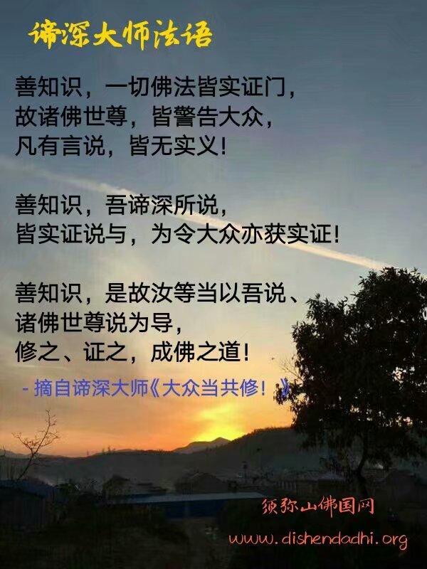智慧因上善若水的表执见向师父请法谛深大师开示