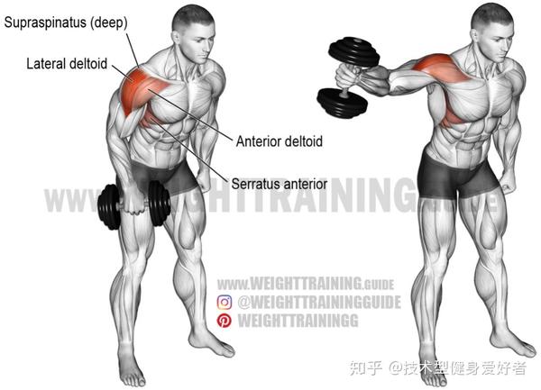 一对哑铃练全身:肩部训练
