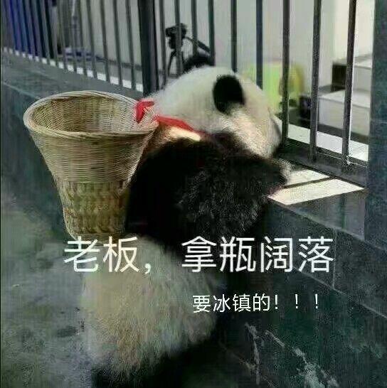 有哪些让人笑到肚子疼的搞笑图片?
