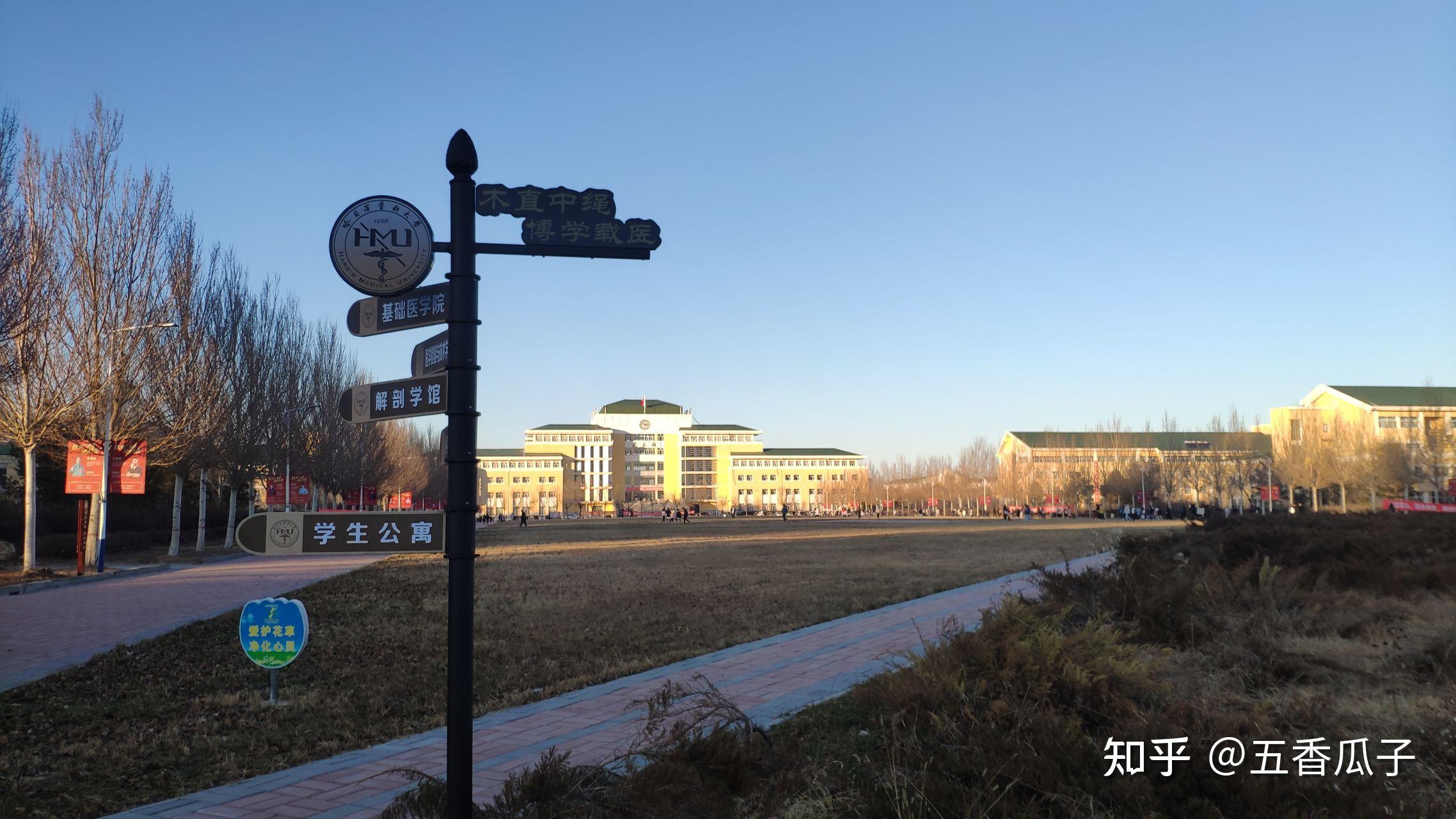 哈尔滨医科大学大庆校区 知乎