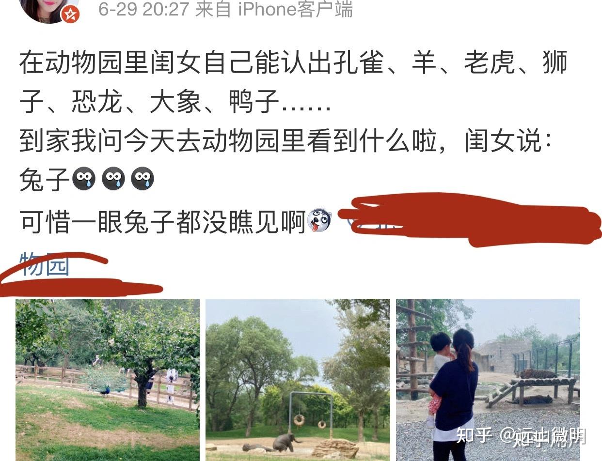 怎么解读a岛上的动物园规则怪谈