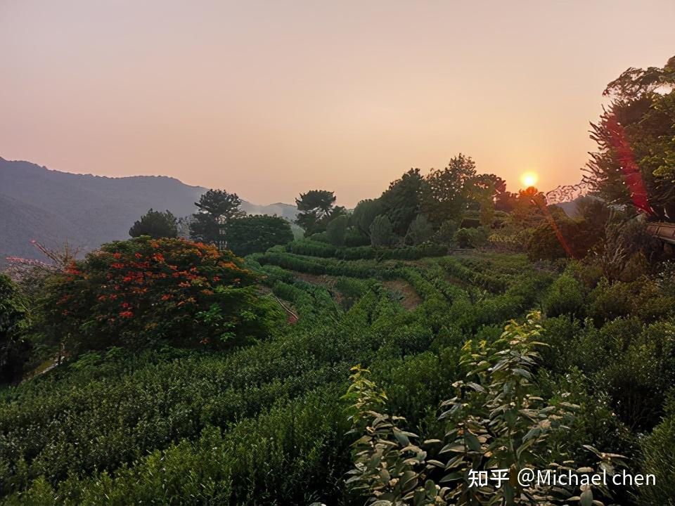 雁南飞茶田景区