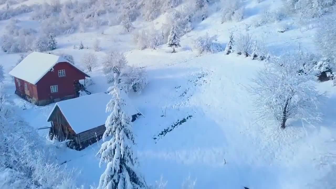 雪景白茫茫大地真干净