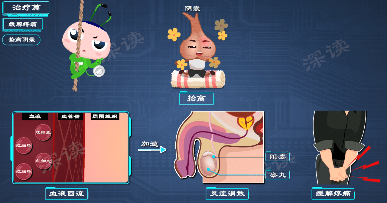 蛋疼肿胀该咋办细数附睾炎治疗那些坑小心毁于一蛋