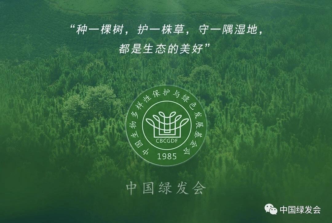 中国绿发会承诺将全力以赴做好生物多样性保护与绿色发展事业,促进