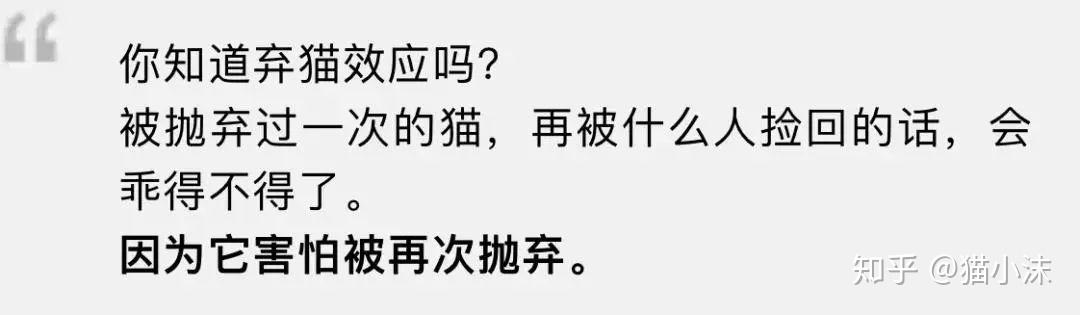 你相信弃猫效应吗