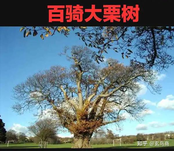 而"雄常"之前我已经破解,它就是意大利西西里岛的"百骑大栗树",见我的