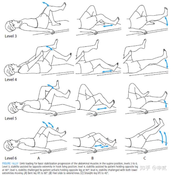 ②外展内收髋关节:屈膝,足跟放在治疗台上不动;后髋,膝关节伸展,下肢