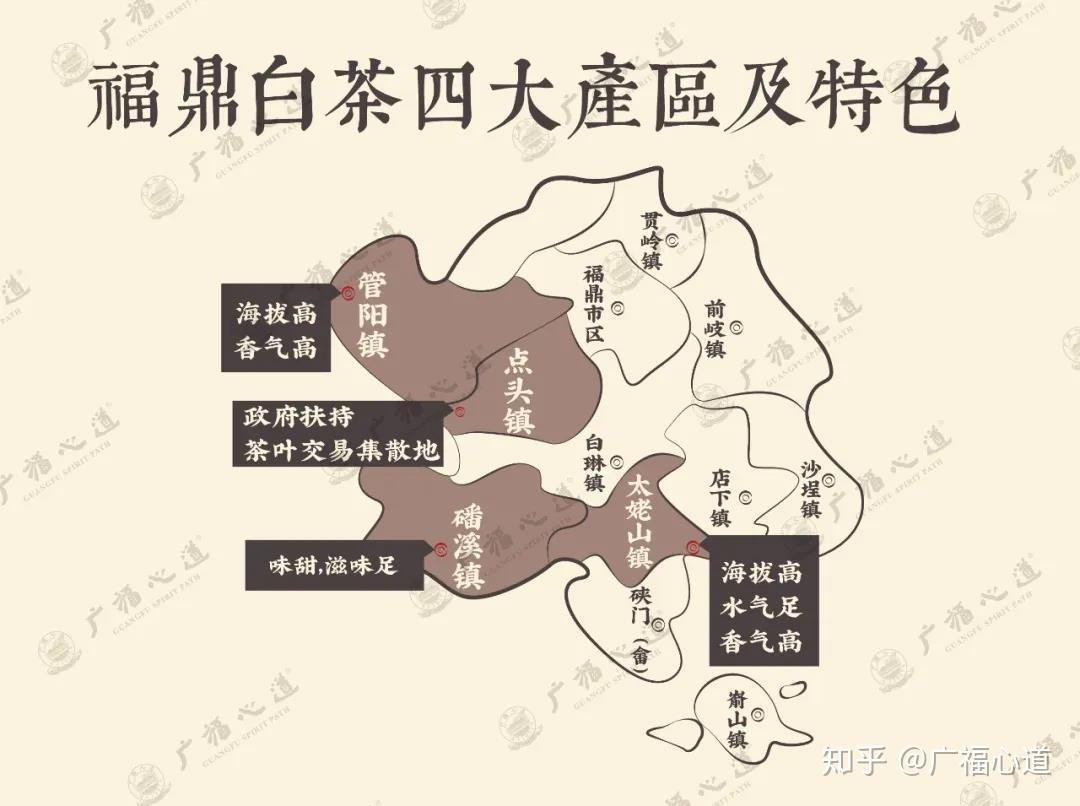 福鼎白茶产区各个城镇大全快来看看有没有你喜欢的那个