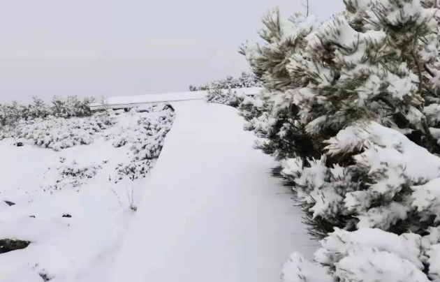 2021年的第一场雪,内蒙古呼伦贝尔突降大雪