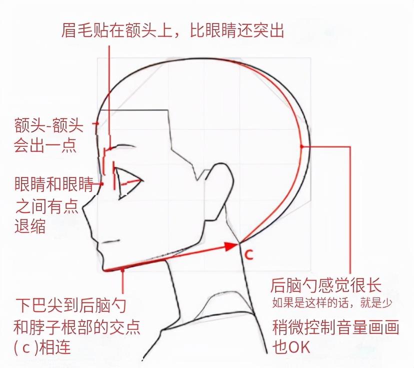 板绘人物半侧脸怎么画零基础保姆级动漫男生侧脸画法