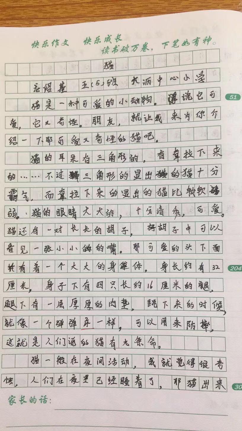 黎老师教小学作文|五年级作文·《猫》