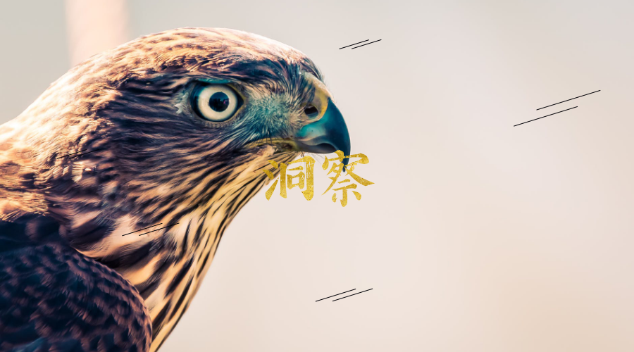 什么是洞察
