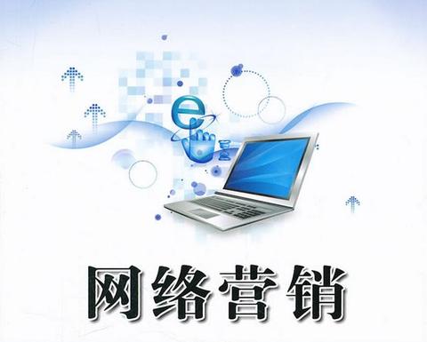 关于xx公司网络营销情况的分析,是关于某网店网络营销