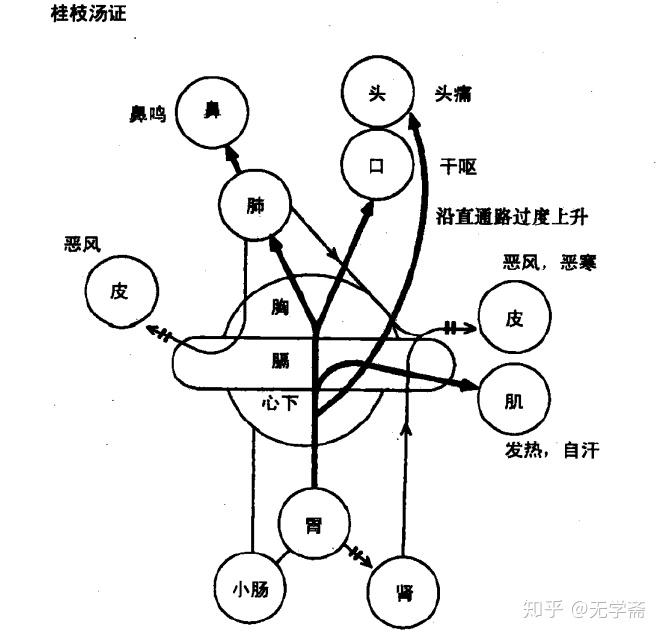 "黑话"伤寒经方本草思辨(二下完结)伤寒本草(独孤九剑