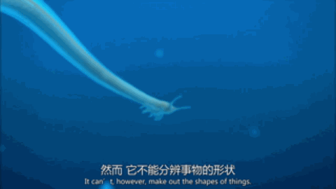 v2 3d4d397e0bfb11be77d59f2d8a96786f 720w