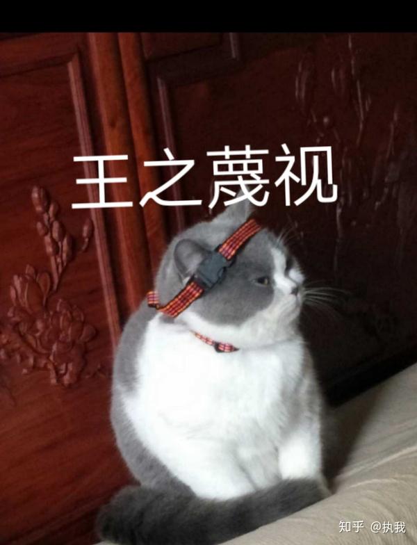 你见过哪些嚼舌根特别欠揍的烦人亲戚?