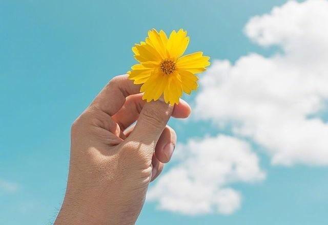 六月最睿智的人生感悟,句句经典,引人深思!