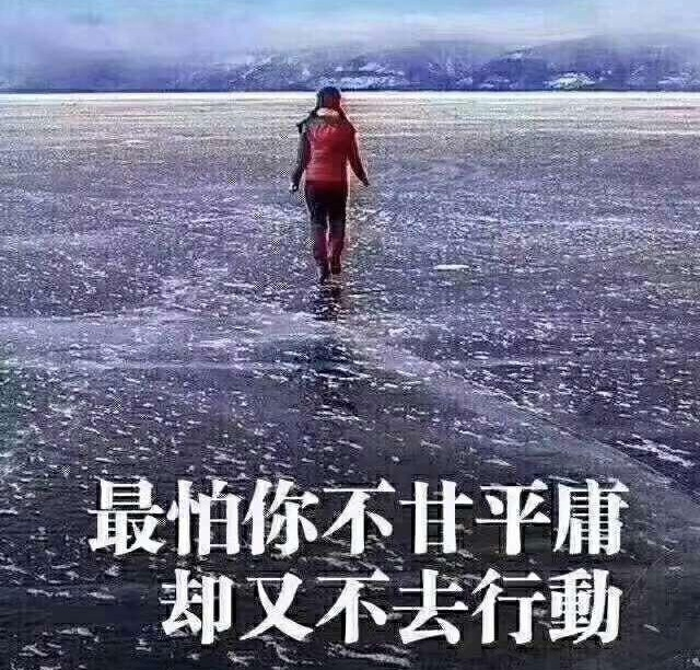 大家争先出游,高速公路瘫痪,堵车堵到生无可恋,景点最美风景就是人山