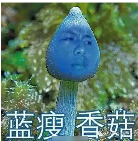 简单点说,就是: 蓝瘦(难受) feel sad 香菇(想哭) wanna cry = want