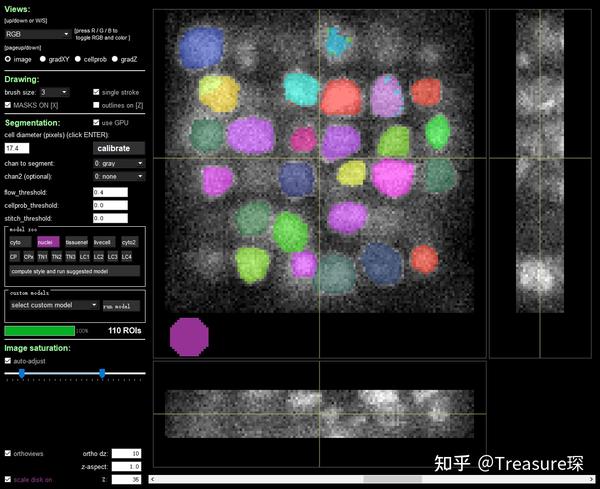 Cellpose3D细胞分割 知乎