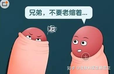 包皮过长与包茎