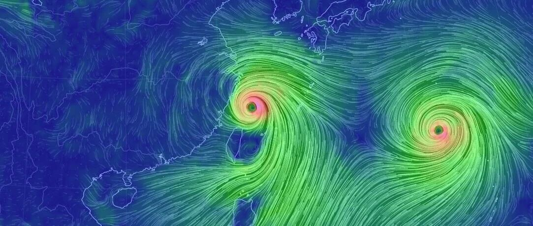 浙江专升本备考的蝴蝶效应在这里