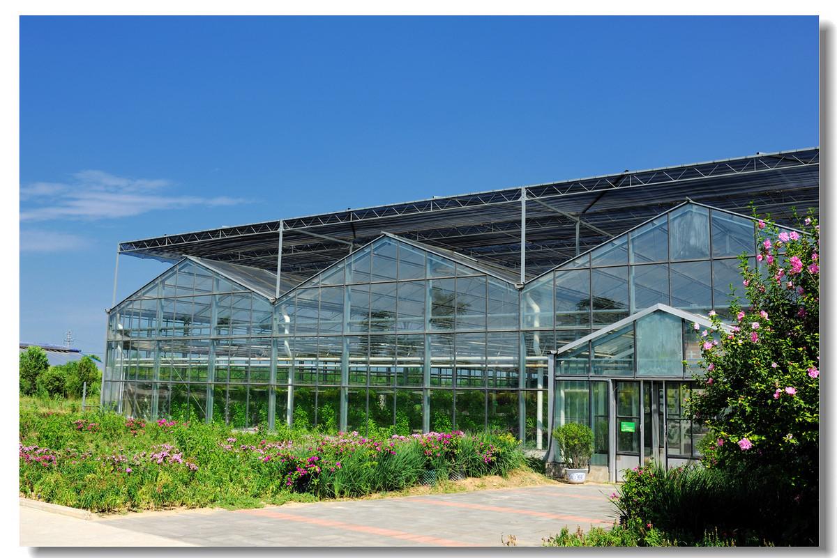 为什么现代农业种植中连栋玻璃温室大棚发挥的优势更明显