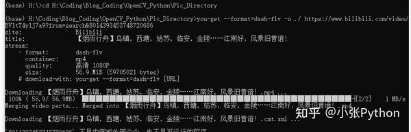 趣味python — 不到20行代码制作一个 "手绘风" 视频