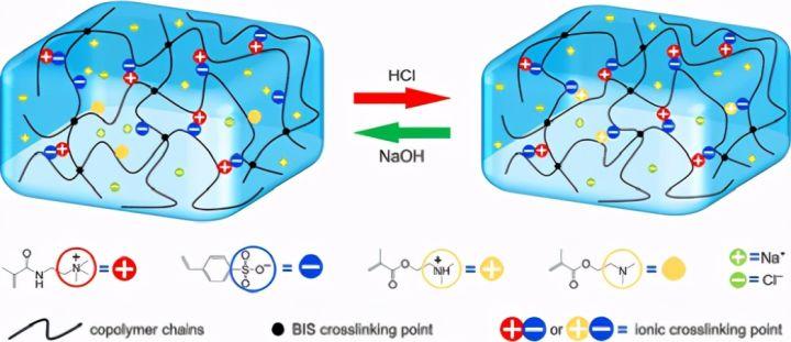 macromoleculesph响应形状记忆快修复两性聚电解质水凝胶