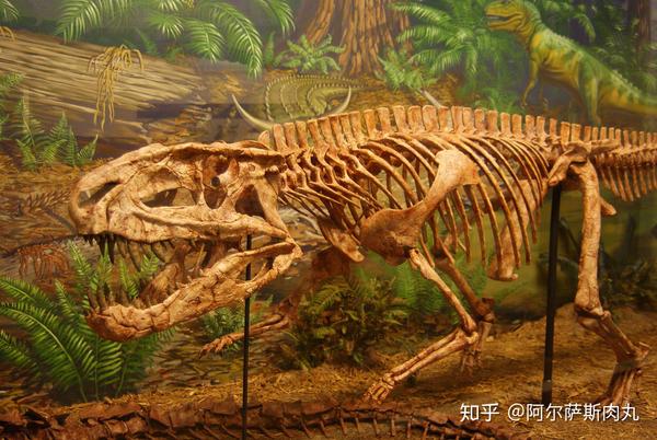 「prehistoric park丨史前公园◎3」"我来自三叠纪,我不是鳄鱼!