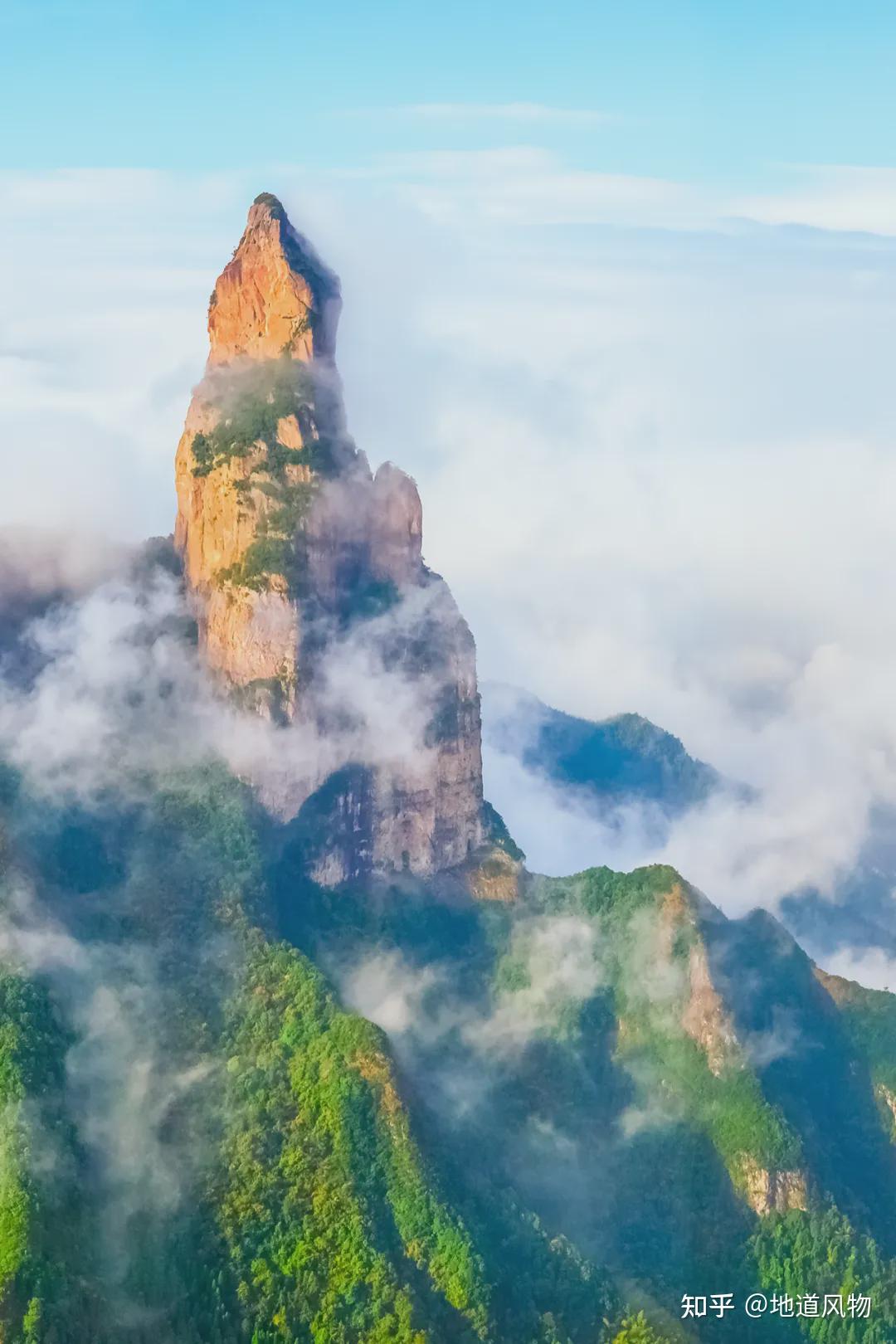 浙江仙居一颗杨梅背后的人间仙土