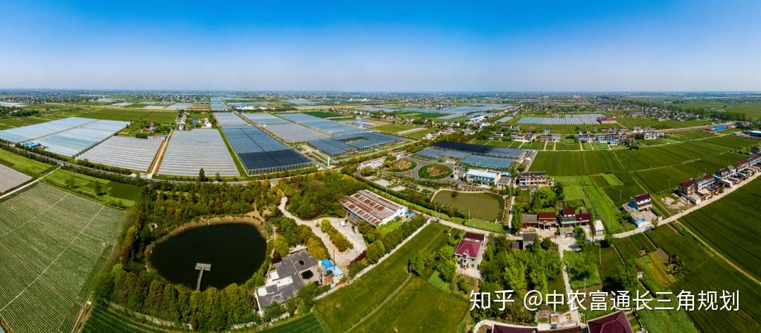 聚焦长三角江苏省泰兴市国家现代农业产业园探析