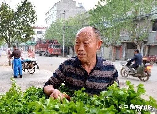 非遗美食特辑枣阳酸浆面