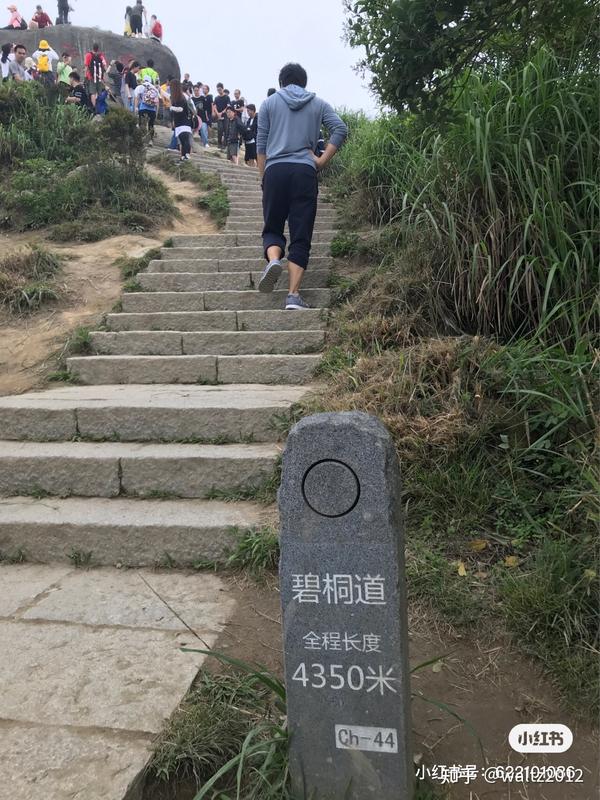深圳梧桐山真正的死亡路线!