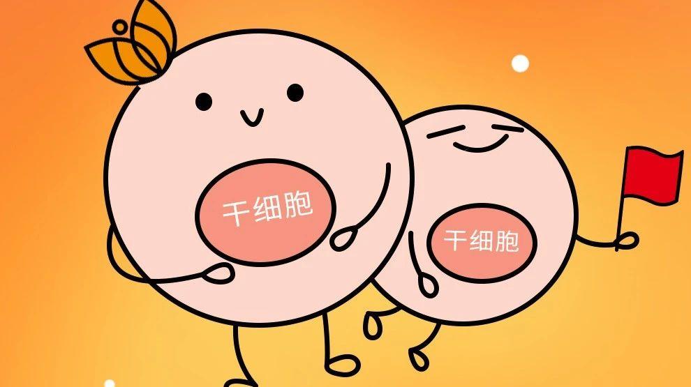 国庆特辑生命种子干细胞的抗疫力量为健康保驾护航