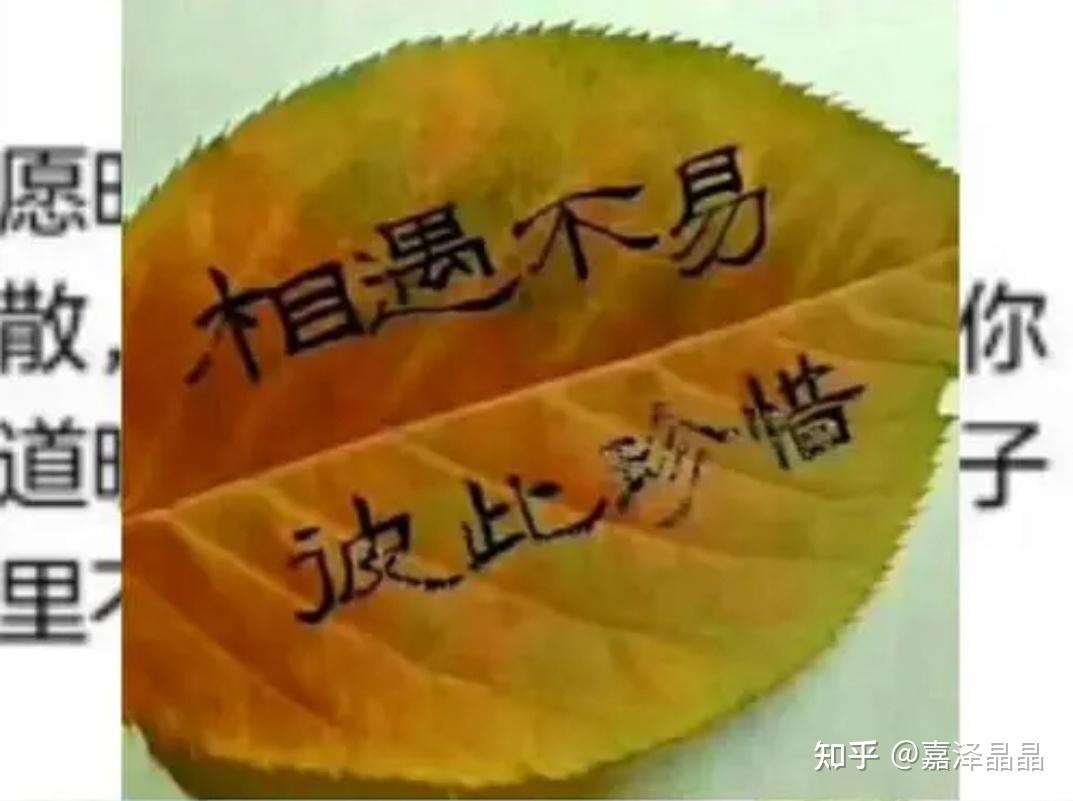 你明明不爱他(她)为什么还要在一起?