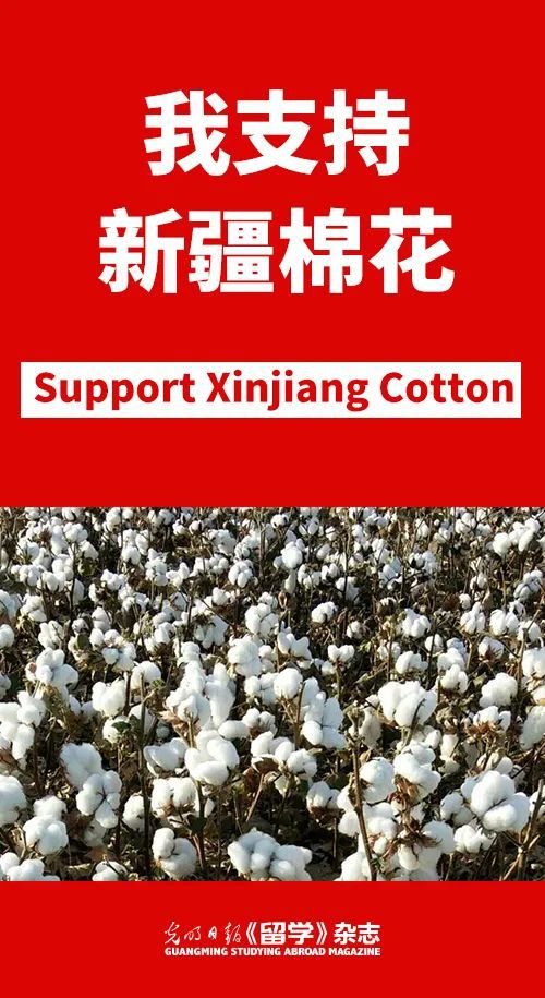 五分钟教你做支持"新疆棉花"和"中国人不吃这一套"的文字海报