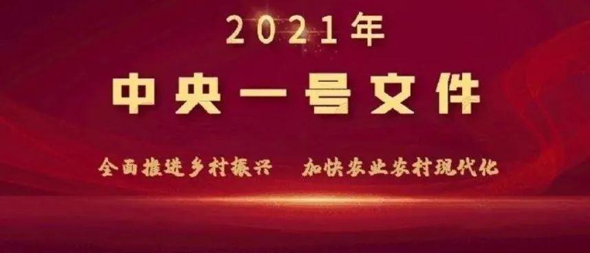 2021年中央一号文件正式发布(全文)