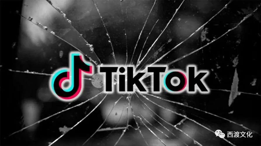 tiktok精细化运营你一直没有注意到的评论区维护