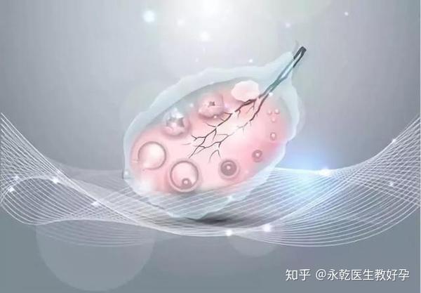 永乾医生教好孕现代辅助生殖技术简介