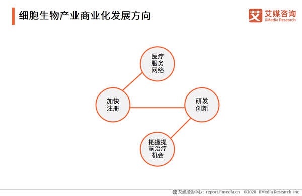 细胞生物企业发展策略-产品多元化与差异化