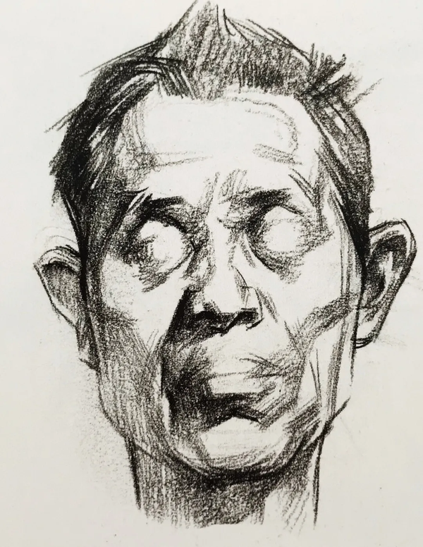 这四个步骤是帮助你了解头部体块的必之路.