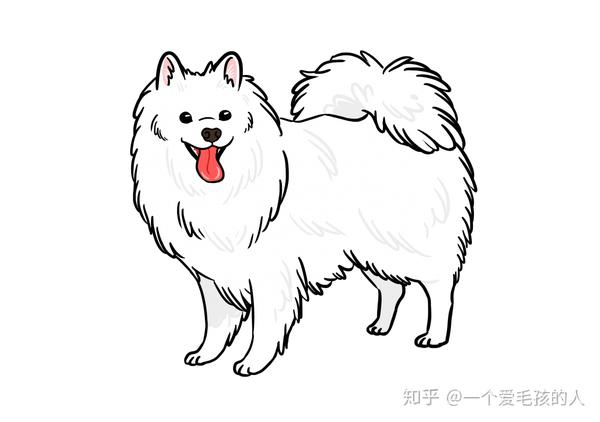 狐狸犬卡通